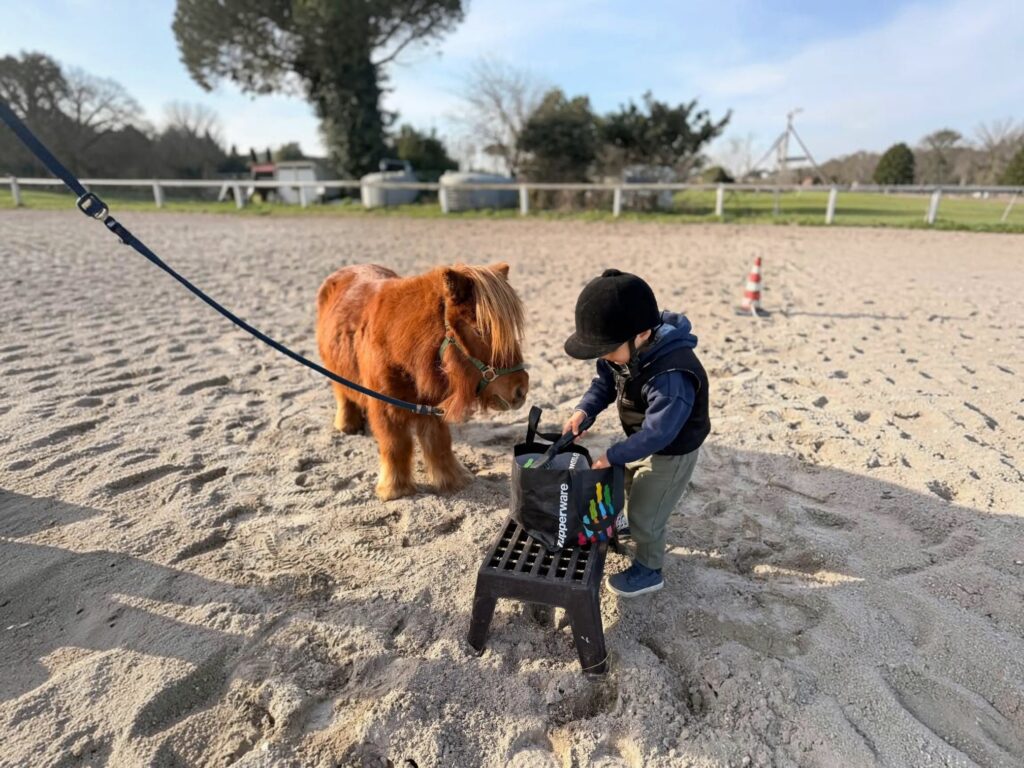 bambino-con-mini-pony-in-maneggio-a-ostia